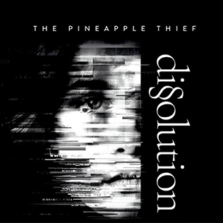 The_Pineapple_Thief_Dissolution_Album_Cover